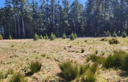 Hubbard LN, Port Orford, OR 97465
