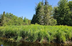 Lot 49 Meeting House Road, Columbia, ME 04623