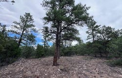 Lot 62 Upper Pinabete, Questa, NM 87556