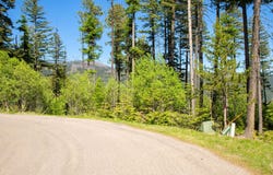 213 Ridge Run Court, Whitefish, MT 59937