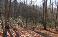 12 CEDARWOOD DRIVE ROAD, MATHIAS, WV 26812