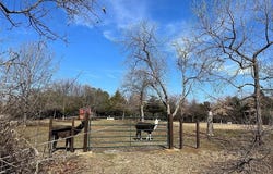 3616 Sentinel Oak Drive, Flower Mound, TX 75022