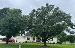 655 Sallie Ray Pike, Raywick, KY 40060