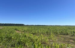 4900 Block Highway 97, Walnut Hill, FL 32568