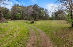 CR1124 Old HWY 11 Road, Daingerfield, TX 75638