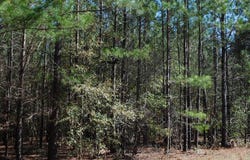 0 Hannah Road, Eastman, GA 31023