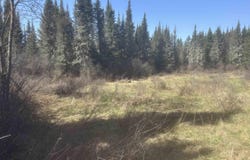 Goodhall Road, Iron River, MI 49935
