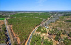 0 Hamburg State Park Road, Warthen, GA 31094