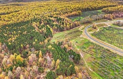 Parcel 14 Karnes Road, Glen Arbor, MI 49636