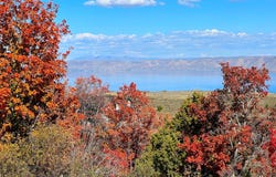 950 S BOOSWAY Cir, Garden City, UT 84028