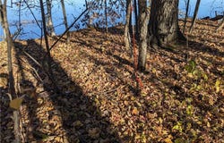 Lot 0 Thomas Avenue, Rice Lake, WI 54868