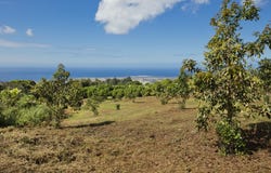 73-1395 KAUKAHOKU RD, Kailua-Kona, HI 96740