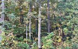 0 SHORT MOUNTAIN ROAD, EDINBURG, VA 22824