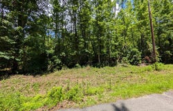 Lot 507 Lakeshore Dr, Abbeville, AL 36310