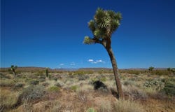 49 Aberdeen, Yucca Valley, CA 92284
