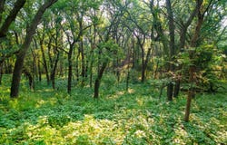 TBD 510 Avenue, Monowi, NE 68746