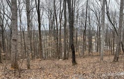 147 Chestnut Hill, LIVINGSTON, TN 38570
