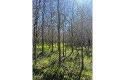 291 Kolekole LN, Bastrop, TX 78602