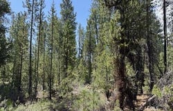 Gabriel Court, Crescent Lake, OR 97733