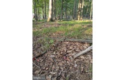 0 CHESTNUT DRIVE, HAZLETON, PA 18202