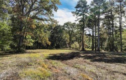 6.78 Matt Morrow Road, Joppa, AL 35087