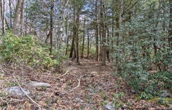 Stony Mountain Road lot: 29&30, Penn Forest Twp, PA 18235