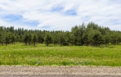 Lot 1, Augusta, WI 54722