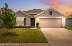 13196 Golden Lime Avenue, Spring Hill, FL 34609