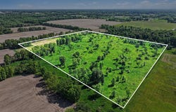 E Charles Road, Ionia, MI 48846