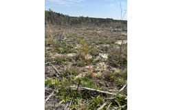 Jackson-Stephens Road, DeKalb, MS 39328