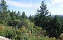 Lot 1 SW Moose Ridge Way, Loon Lake, WA 99148