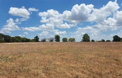 Tbd VZ County Road 2421, Canton, TX 75103