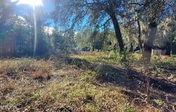 602 SHAPPELL Avenue, Interlachen, FL 32148