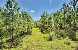 Rounsaville Church Road, Coffeeville, MS 38922