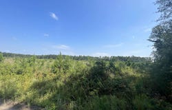 Mahogany Lane, Orangeburg, SC 29115