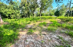 6335 Lake Hardeman Road, Saulsbury, TN 38067