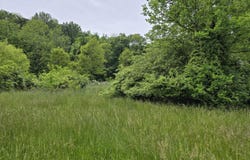 Tbd BOATMANS MOUNTAIN-TR 1 Rd, Morristown, TN 37814