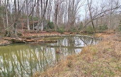 0 Gladston, Mount Airy, GA 30563