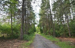 13149 State Highway 23, Milaca, MN 56353