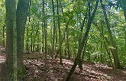 7-/+ Charlie Lemley Road, Dawsonville, GA 30534