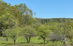 Bull Run Road, Middletown, NY 12455