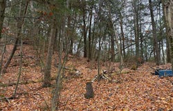 18282 W US-2, St. Ignace, MI 49781