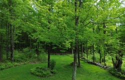 195 Bull Run Road, Lincoln, VT 05443