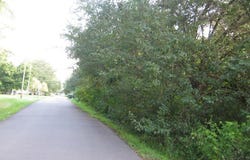 000 Elm Street Street, Norlina, NC 27563