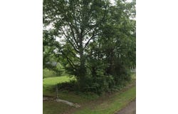 2202 E Avenue B, Hooks, TX 75561