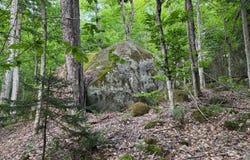 00 Withers Rd, Ohio, NY 13324