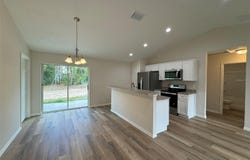 233 LOCUST LANE, OCALA, FL 34472