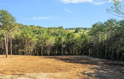 W Hills Drive lot: #3, Mosheim, TN 37818