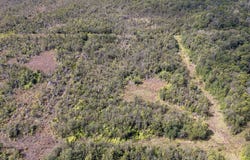 GLENWOOD RD, Volcano, HI 96785