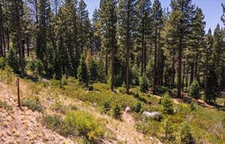 9501 Cloudcroft Court, Truckee, CA 96161